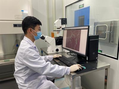 科技創(chuàng)新激活銅川高質(zhì)量發(fā)展澎湃動(dòng)力 新材料技術(shù)推廣服務(wù)